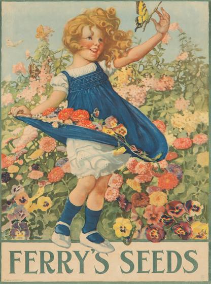 Ferry's Seeds 1920