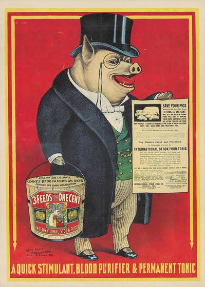 International Stock Food 1895