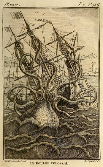 The Colossal Octopus