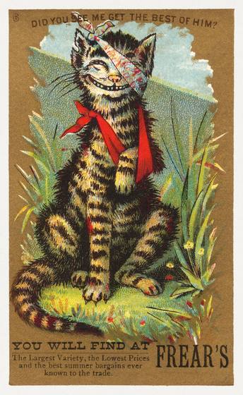 Vintage Advertising Cat