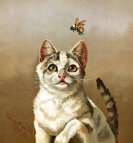 Vintage Cat and Bee
