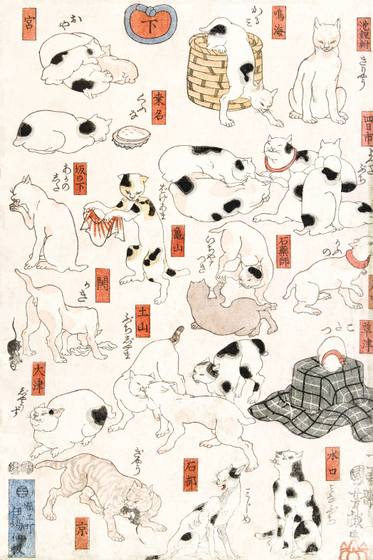 Kuniyoshi Cats