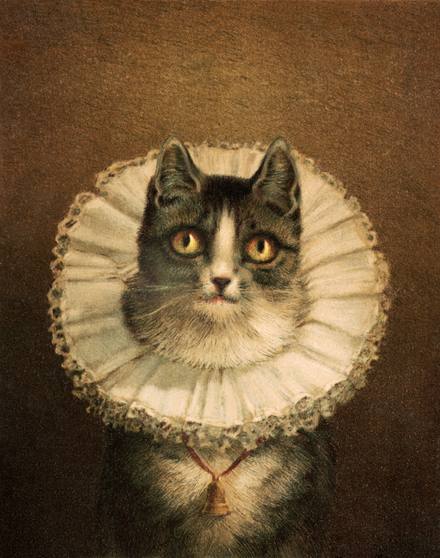 Cat in a Ruff Collar