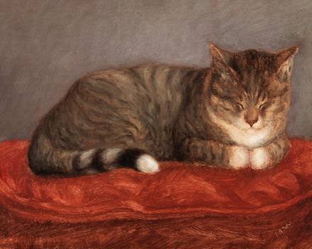 Tabby Cat on a Cushion