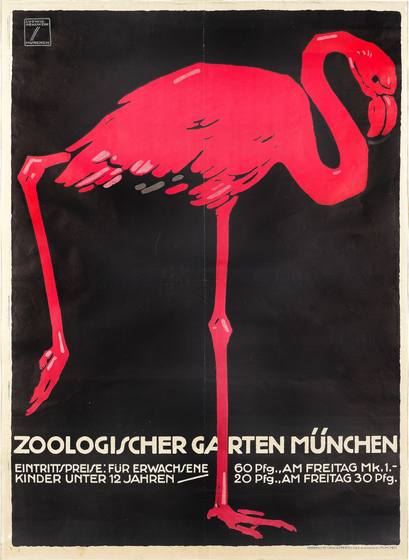 Munich Zoo Flamingo