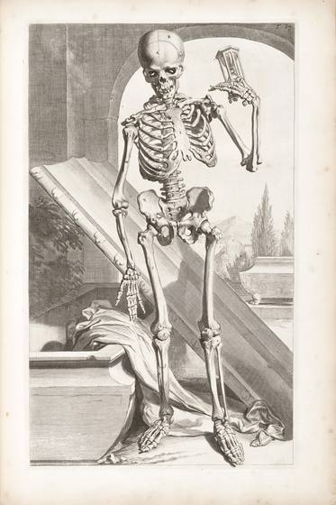 Vintage Medical Anatomy Print No. 103