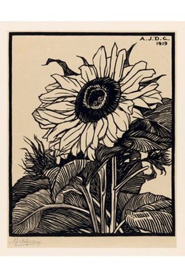 Sunflower by Julie de Graag