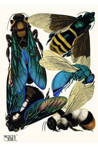 Art Deco Insects Plate 16 by E.A. Seguy