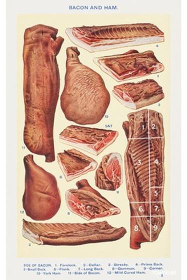 Cuts of Bacon and Ham Chart
