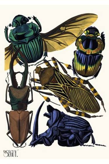 Art Deco Insects Plate 7 by E.A. Seguy