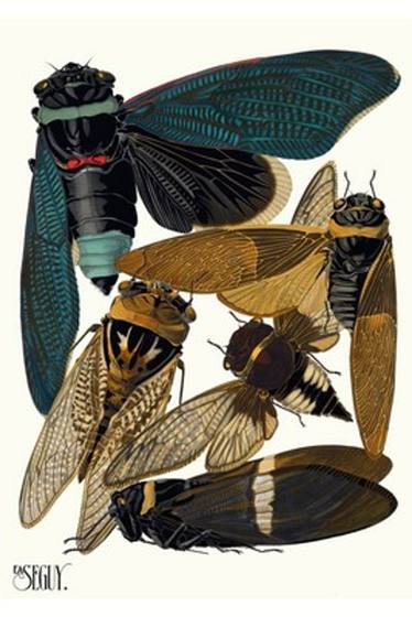 Art Deco Insects Plate 1 by E.A. Seguy