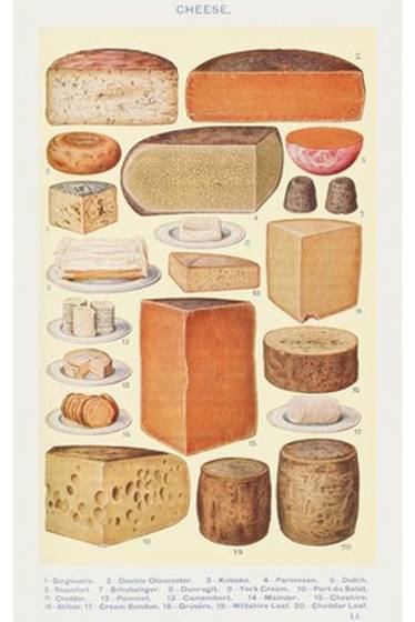 Cheeses of the World Chart