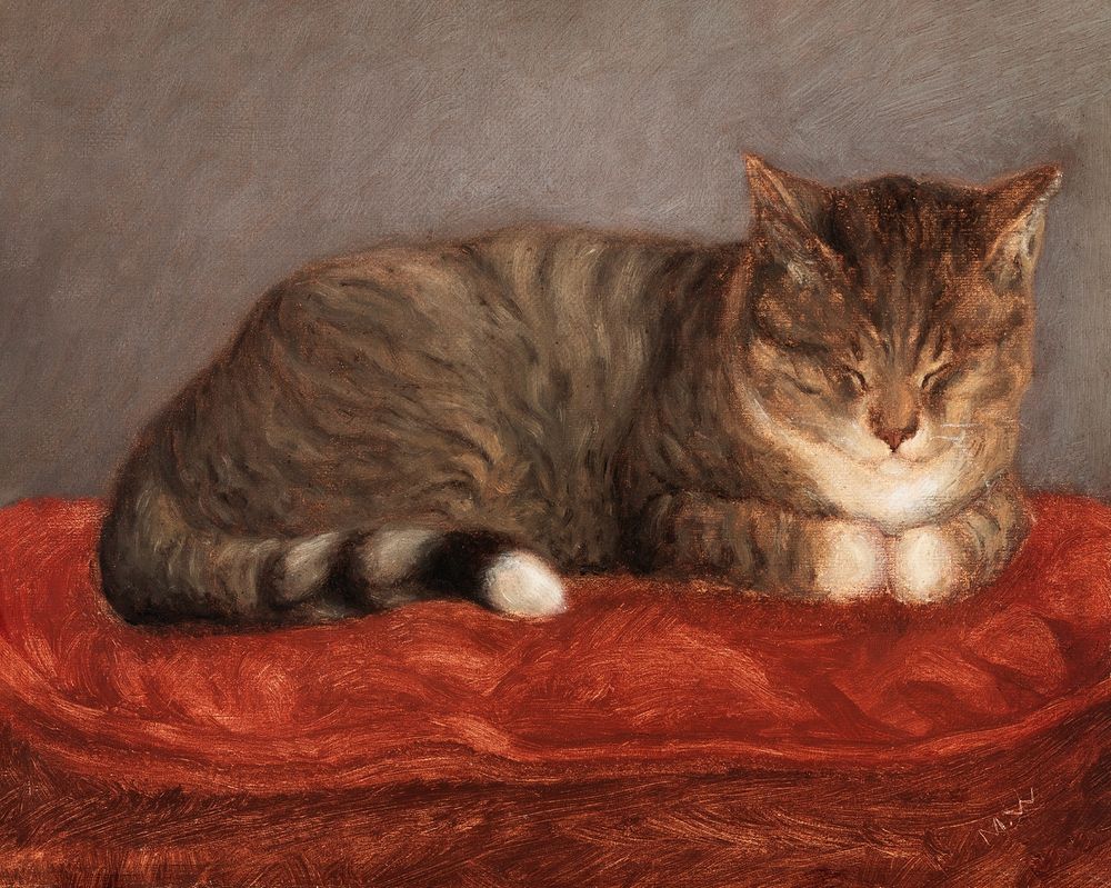 Tabby Cat on a Cushion