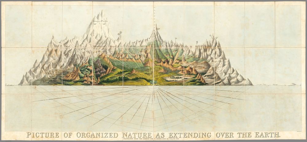 Charles Smith Picture of Organized Nature As Extending Over the Earth - Antique Vintage Map Print, Old Cartography Wall Art, Historical Map