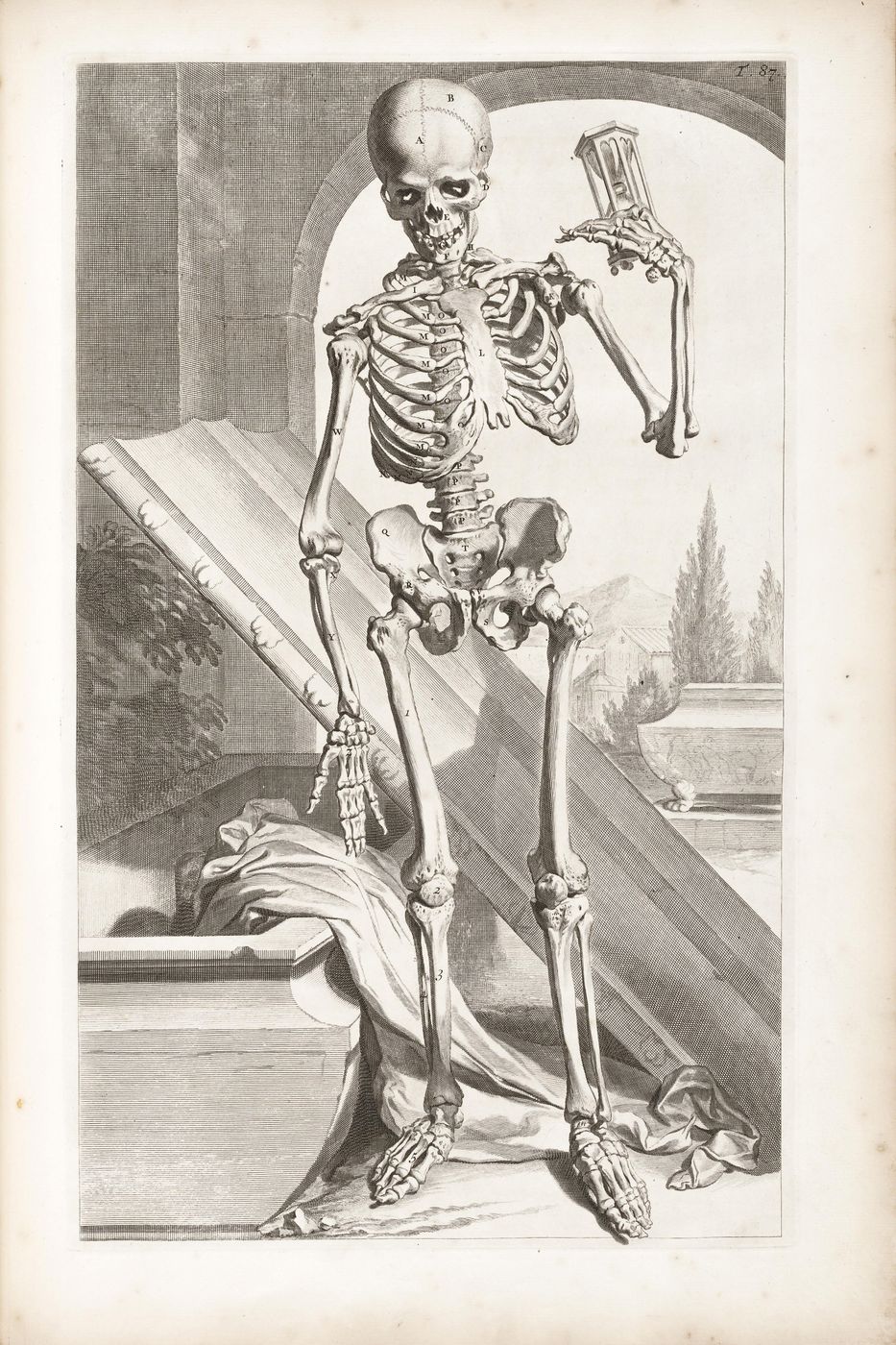 Vintage Medical Anatomy Print No. 103 - Antique Human Anatomy Illustration, Anatomical Wall Art, Dark Academia Decor