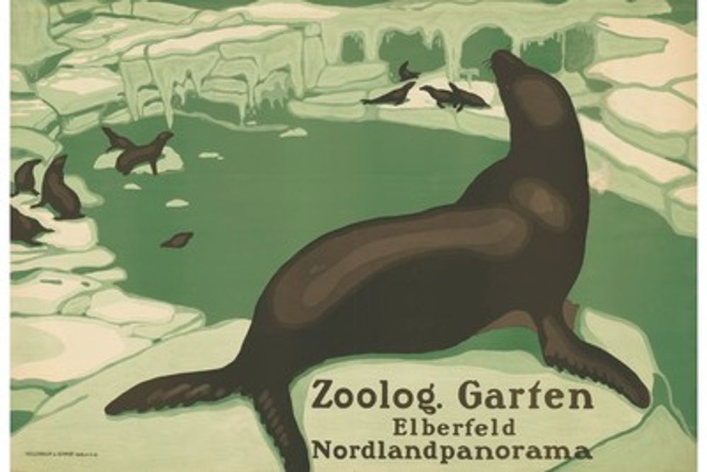 Vintage Zoo Sea Lions Poster - Antique Elberfeld Zoologischer Garten Nordland Panorama Print, Sea Lion Wall Art