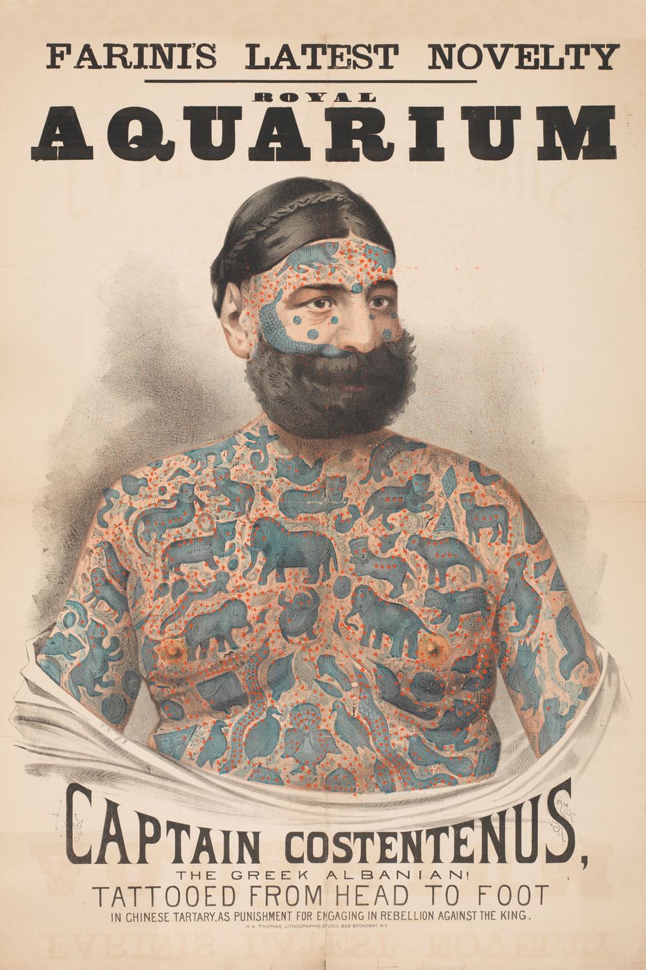 Captain Costentenus Tattooed Man Poster 1880s