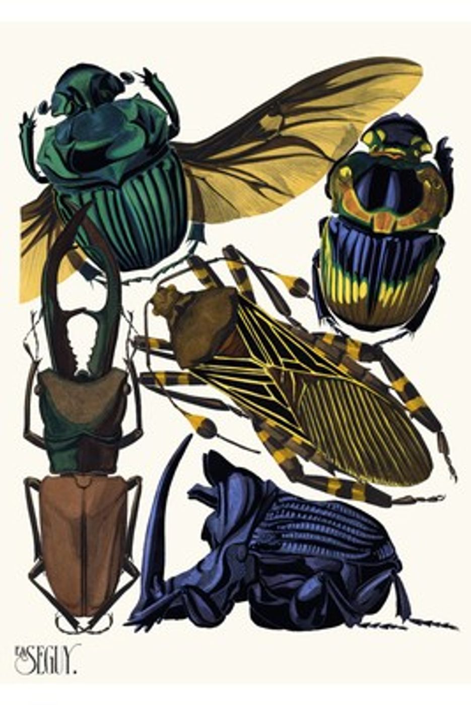 Art Deco Insects Plate 7 by E.A. Seguy - Vintage 1929 Pochoir Print, Colorful Butterfly Beetle Wall Art, Maximalist Poster