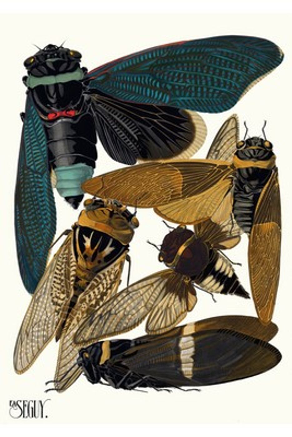 Art Deco Insects Plate 1 by E.A. Seguy - Vintage 1929 Pochoir Print, Colorful Butterfly Beetle Wall Art, Maximalist Poster