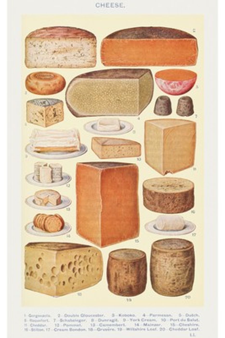 Cheeses of the World Chart - Vintage Mrs Beeton Kitchen Print, Antique Cheese Diagram Wall Art, Foodie Kitchen Poster