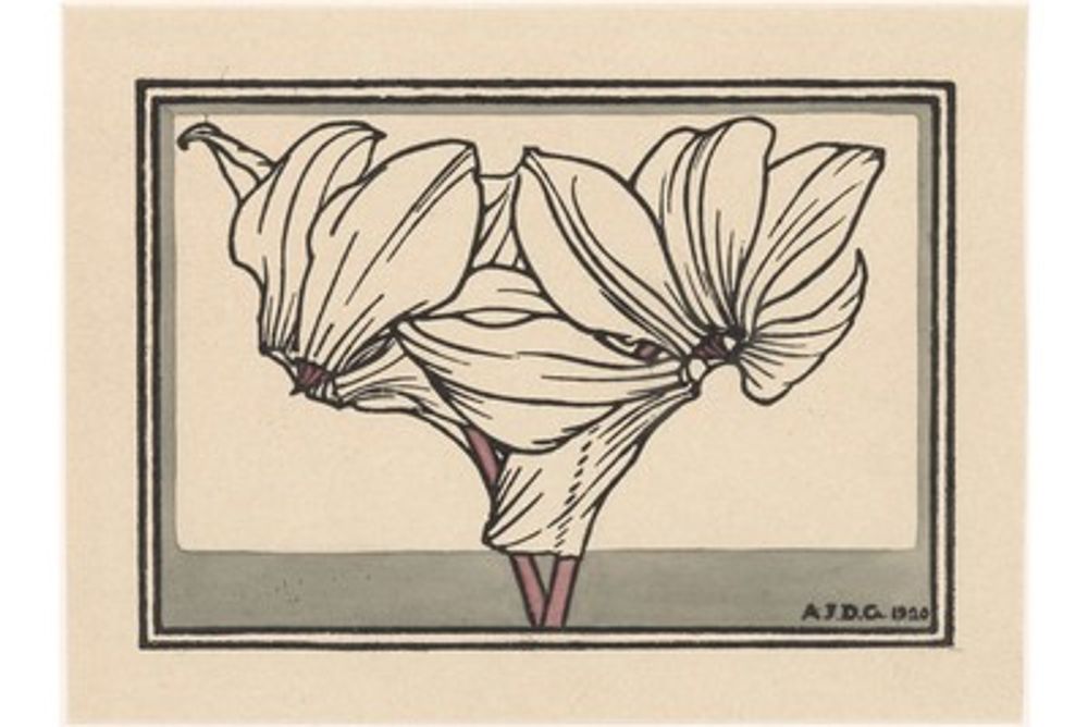 Antique Cyclamen Botanical Print - Vintage Flower Illustration, Pink Cyclamen Wall Art, Cottagecore Botanical Poster